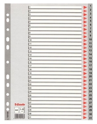 Esselte register A4 PP 1:31 - grå plast med kartonforblad